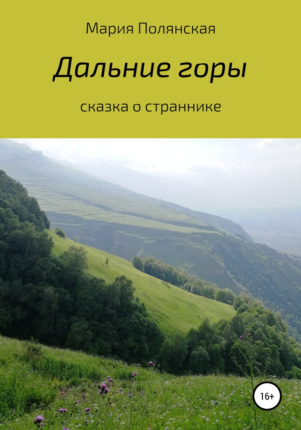 Обложка книги «Дальние горы»