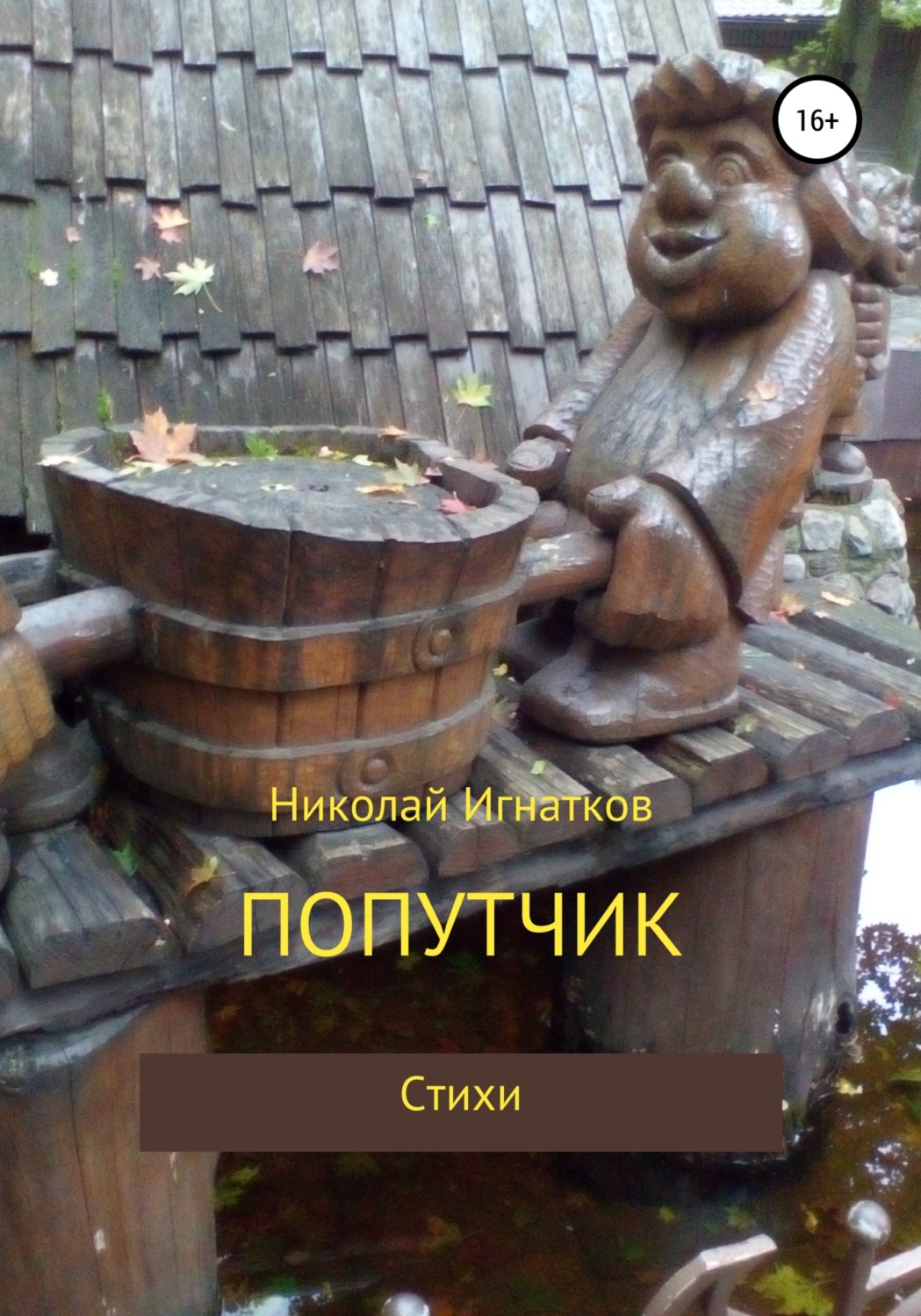 Обложка книги «Попутчик»