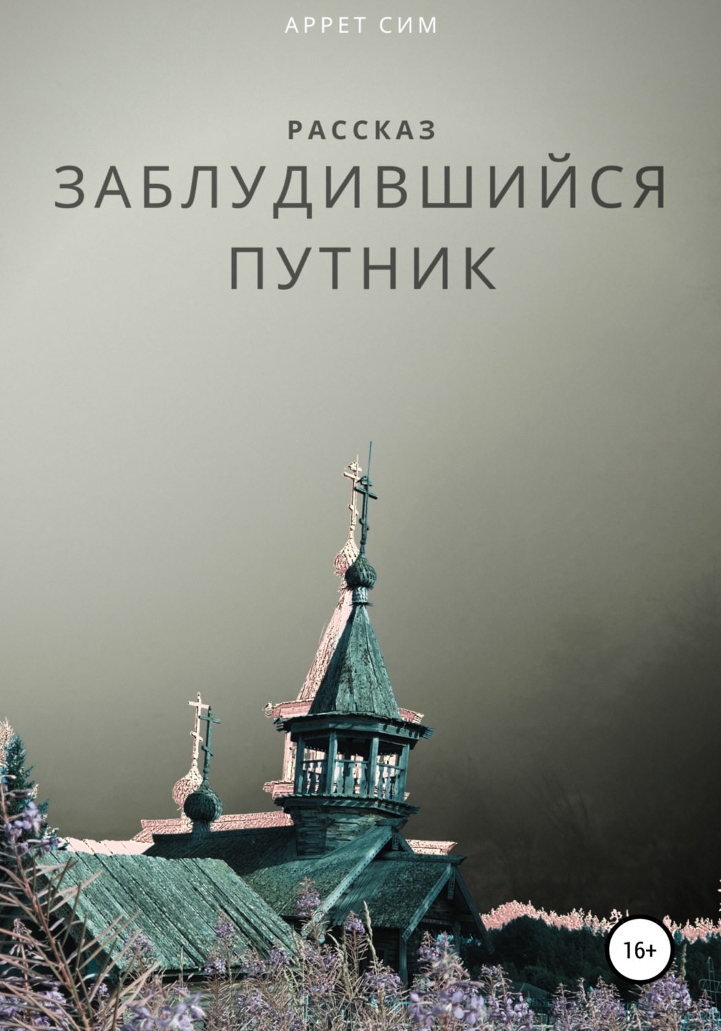 Обложка книги «Заблудившийся путник»