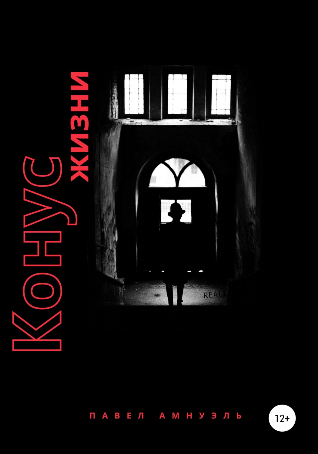 Обложка книги «Конус жизни»