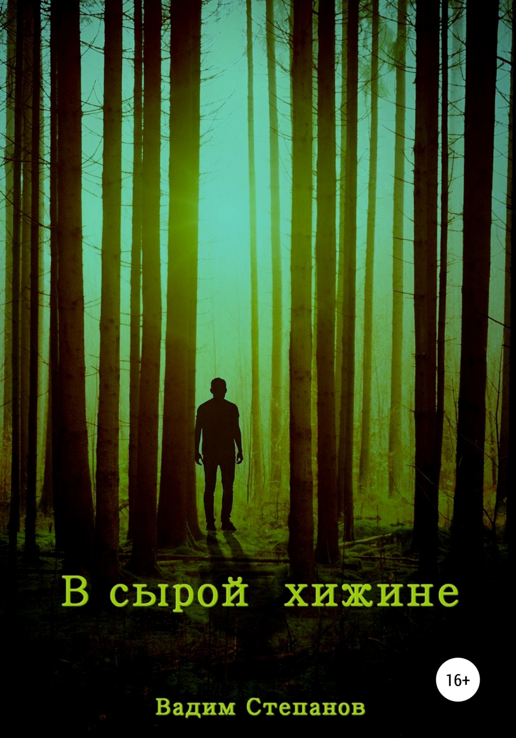 Обложка книги «В сырой хижине»