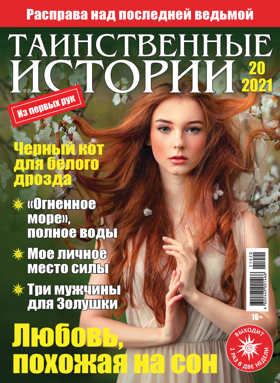 Обложка книги «Таинственные истории №20/2021»