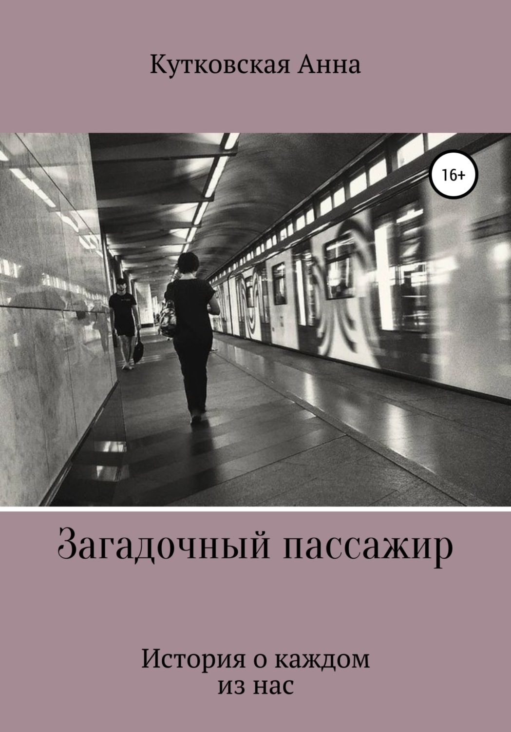 Обложка книги «Загадочный пассажир»