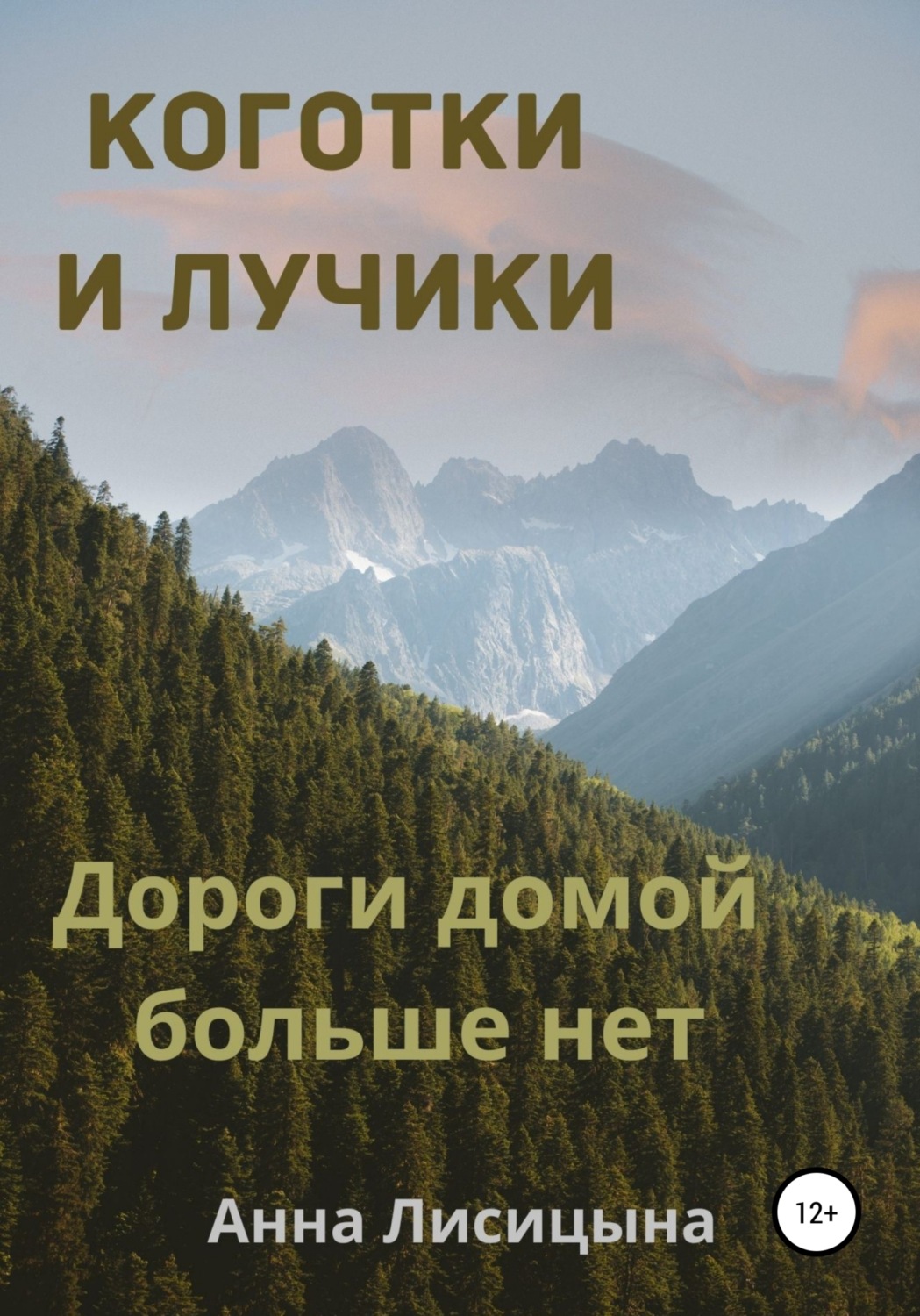 Обложка книги «Дороги домой больше нет»