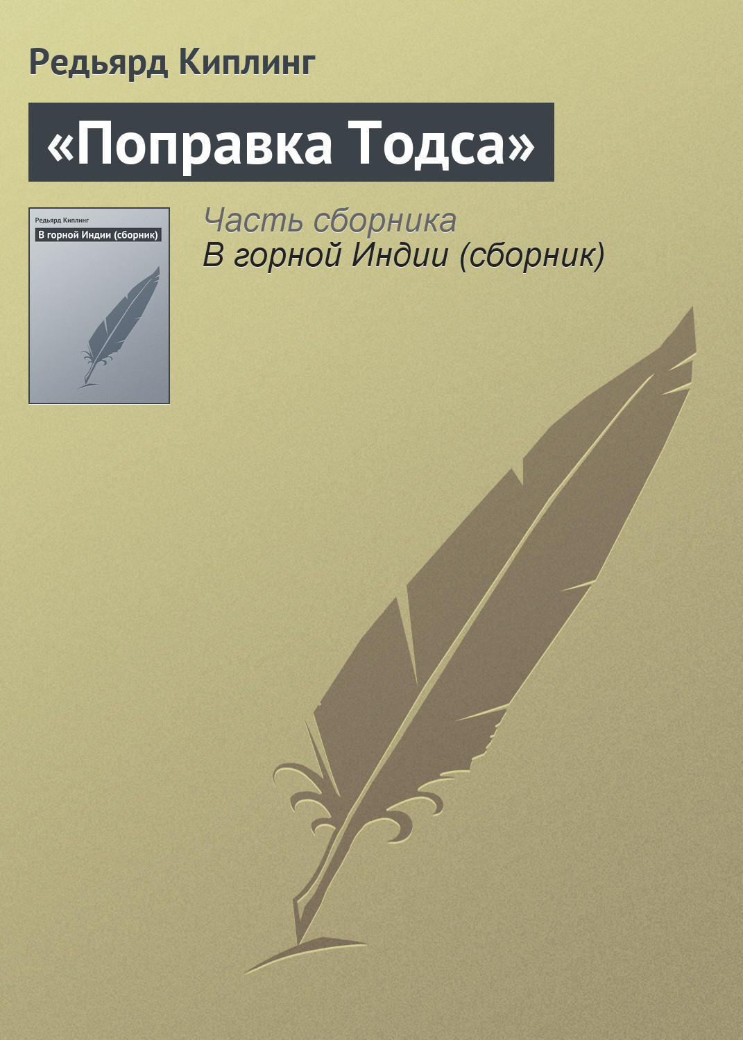Обложка книги ««Поправка Тодса»»