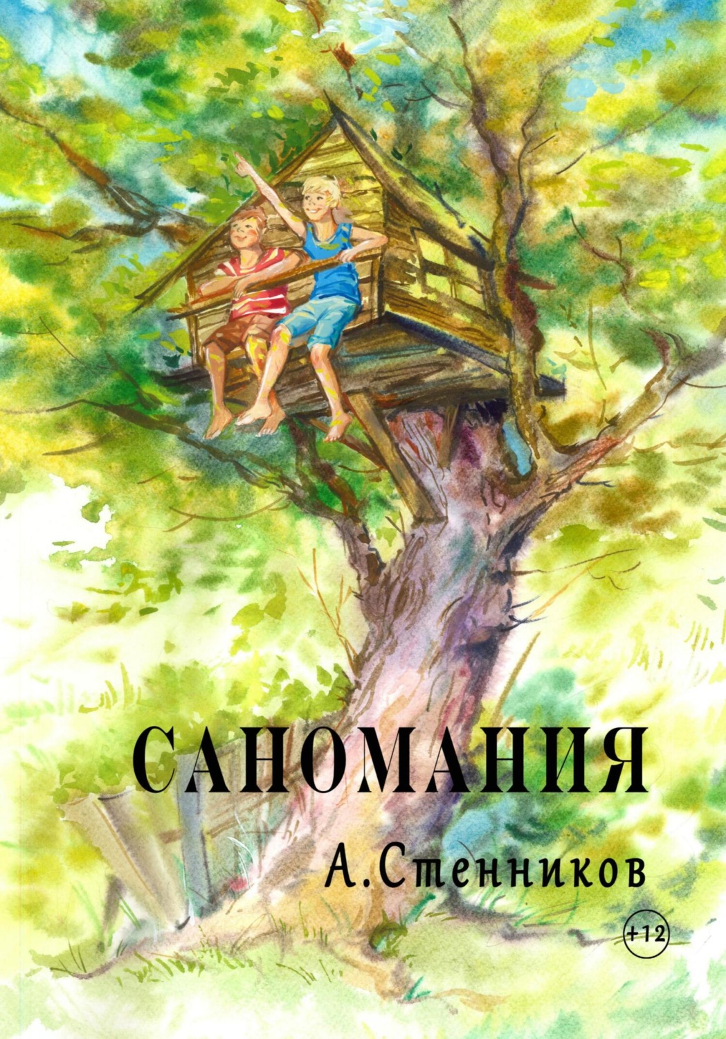 Обложка книги «Саномания»