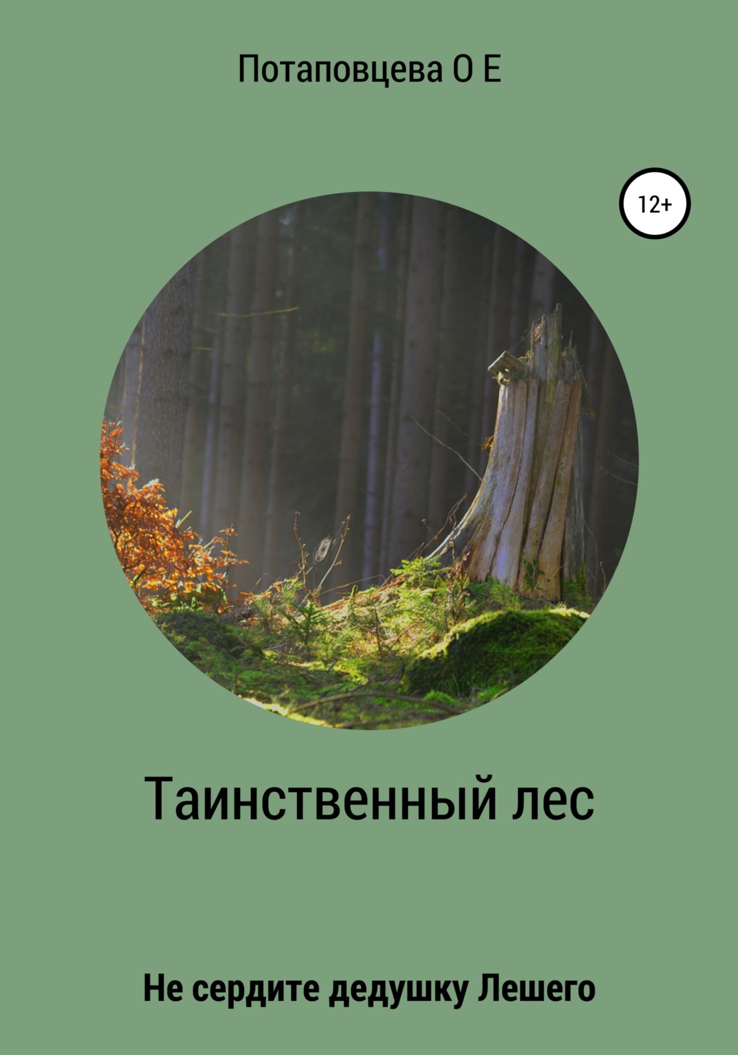 Обложка книги «Таинственный лес»