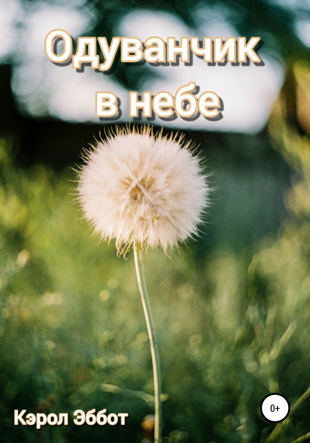 Обложка книги «Одуванчик в небе»