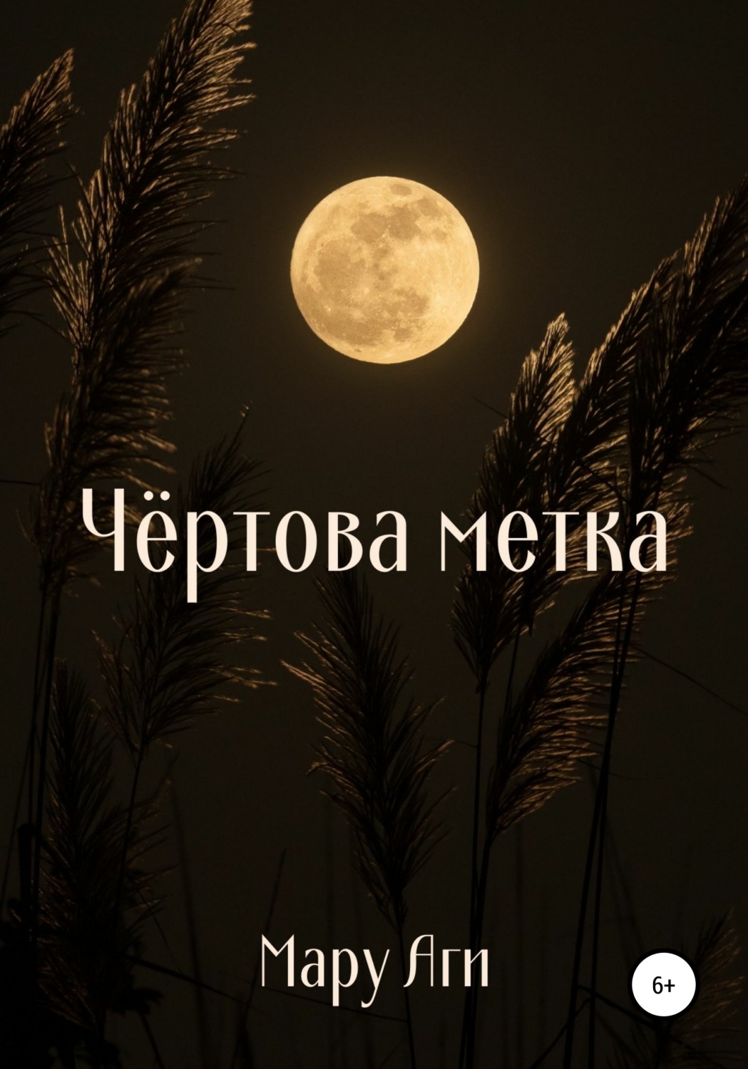 Обложка книги «Чёртова метка»