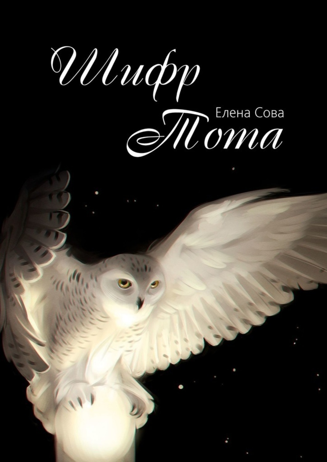 Обложка книги «Шифр Тота»