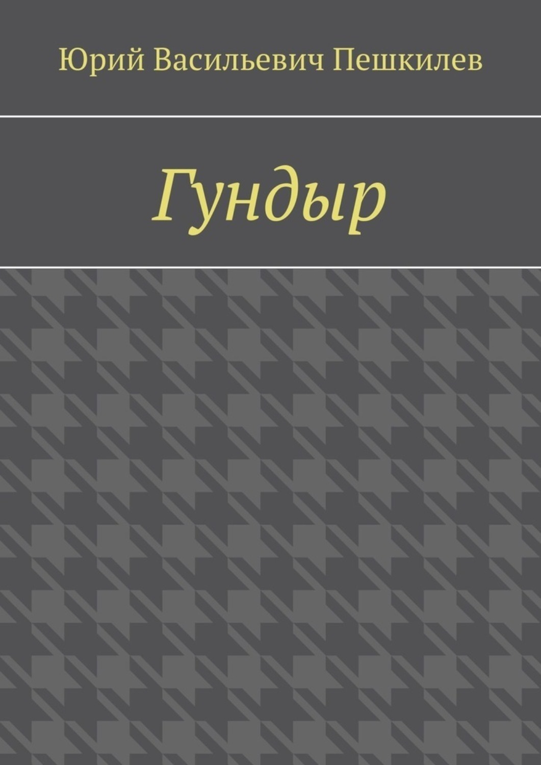Обложка книги «Гундыр»
