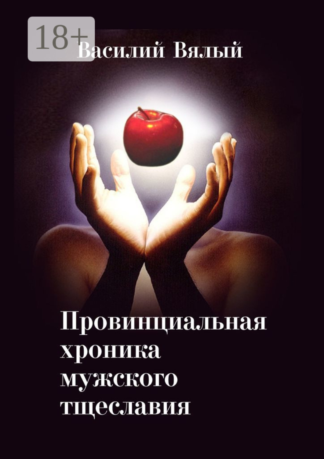 Обложка книги «Провинциальная хроника мужского тщеславия»