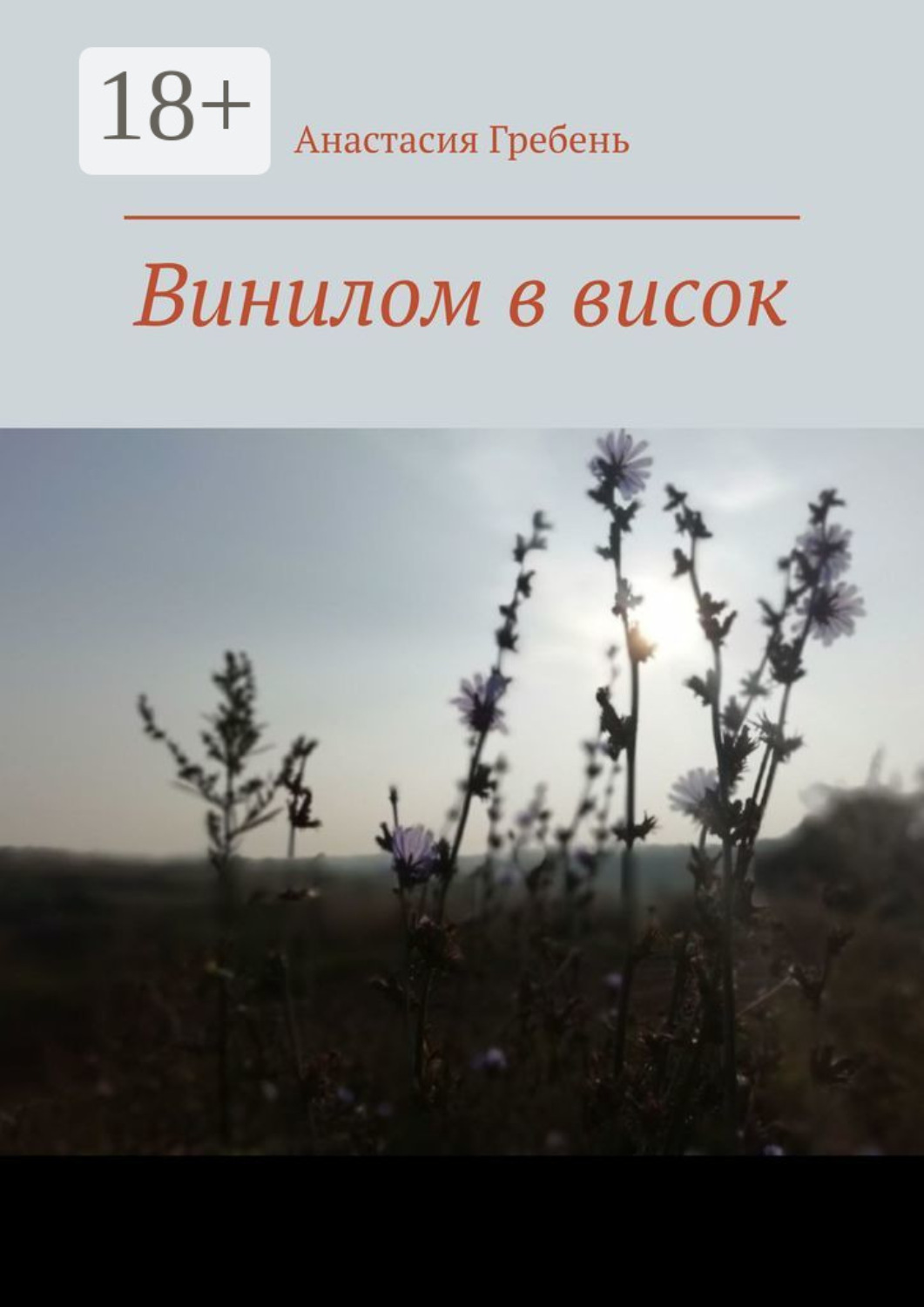 Обложка книги «Винилом в висок»
