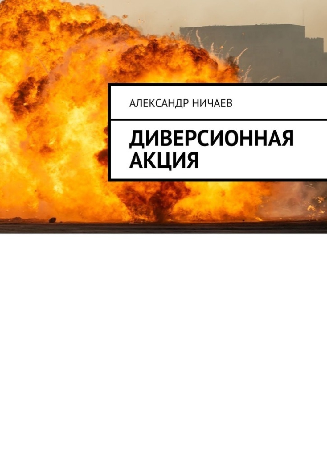 Обложка книги «Диверсионная акция»