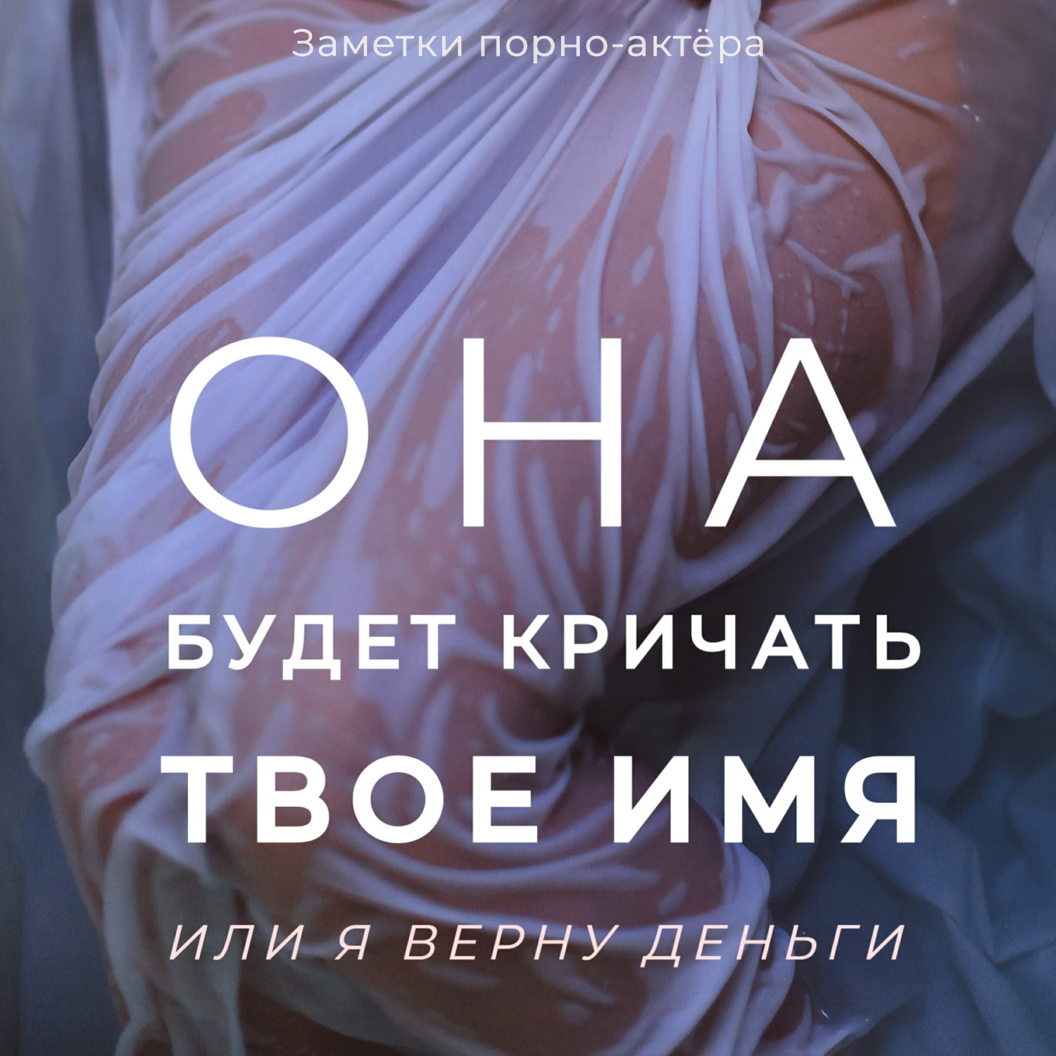 Обложка книги «Она будет кричать твое имя или я верну деньги»