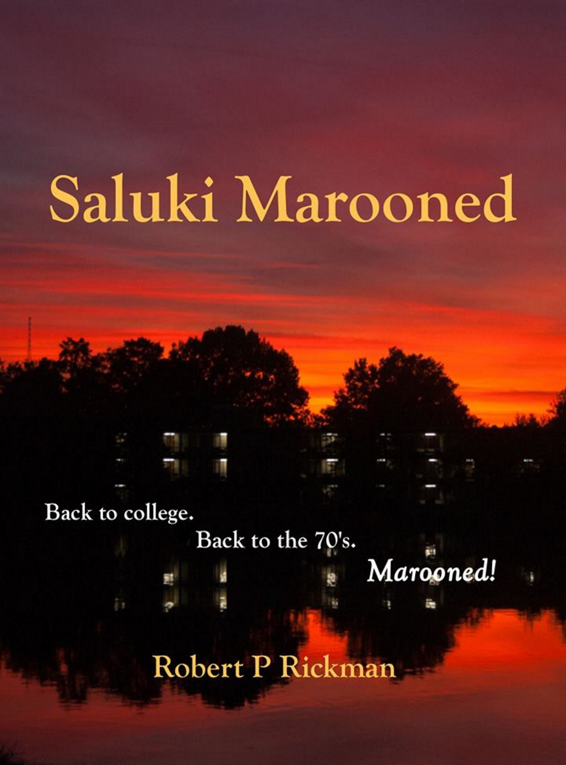 Обложка книги «Saluki Marooned»
