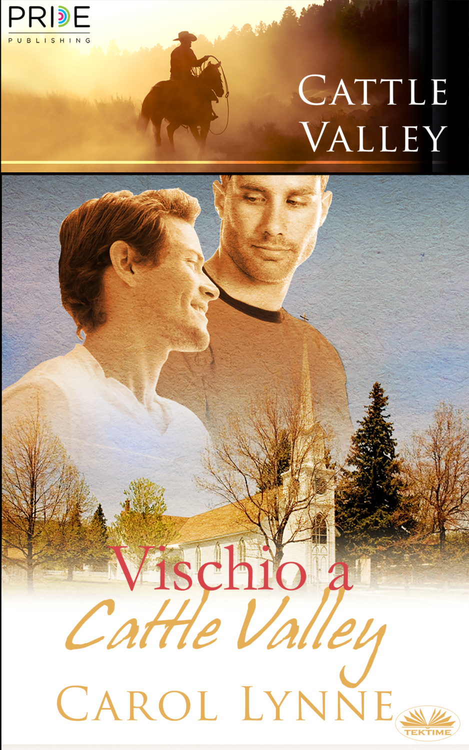 Обложка книги «Vischio A Cattle Valley»