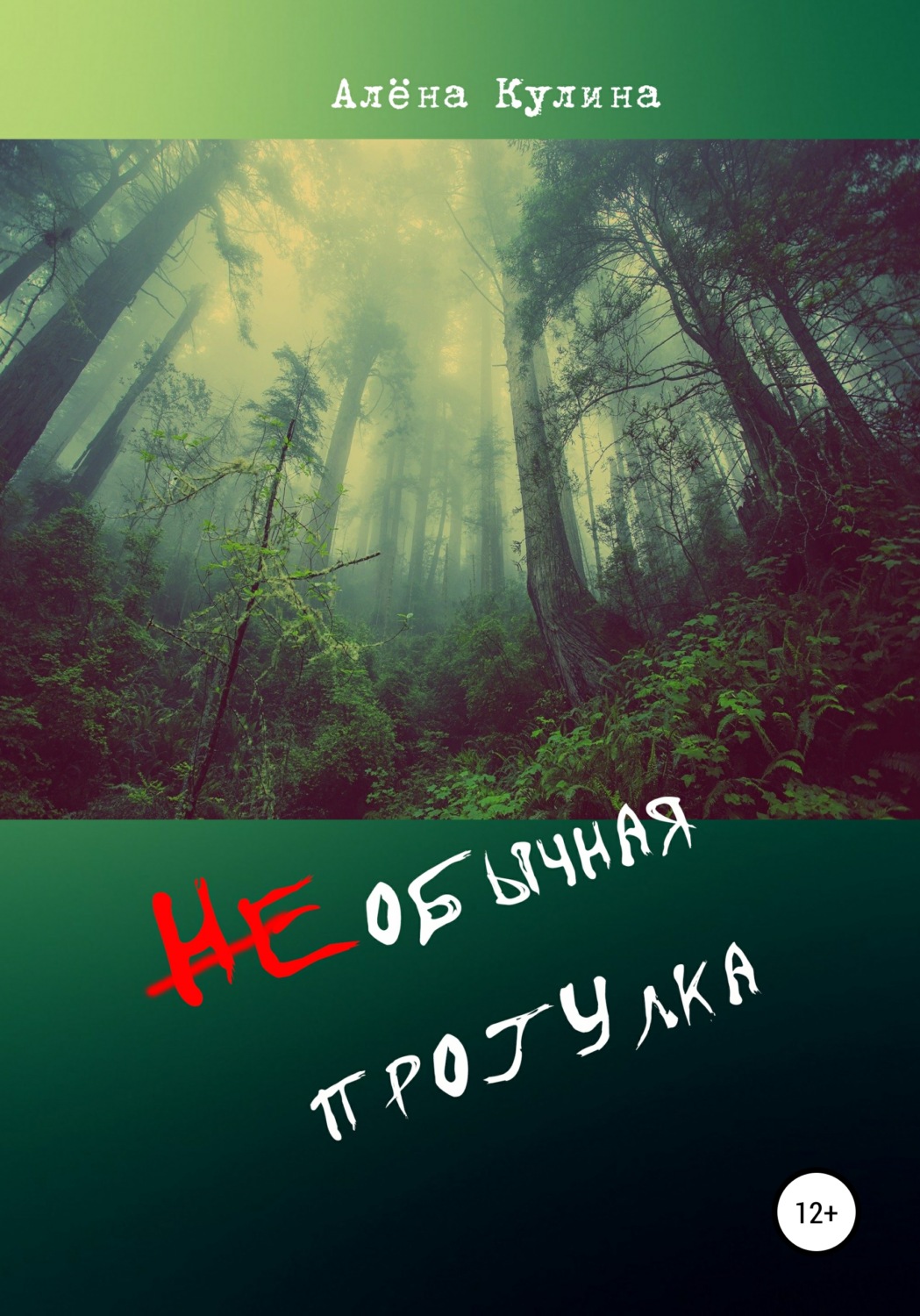 Обложка книги «НЕобычная прогулка»
