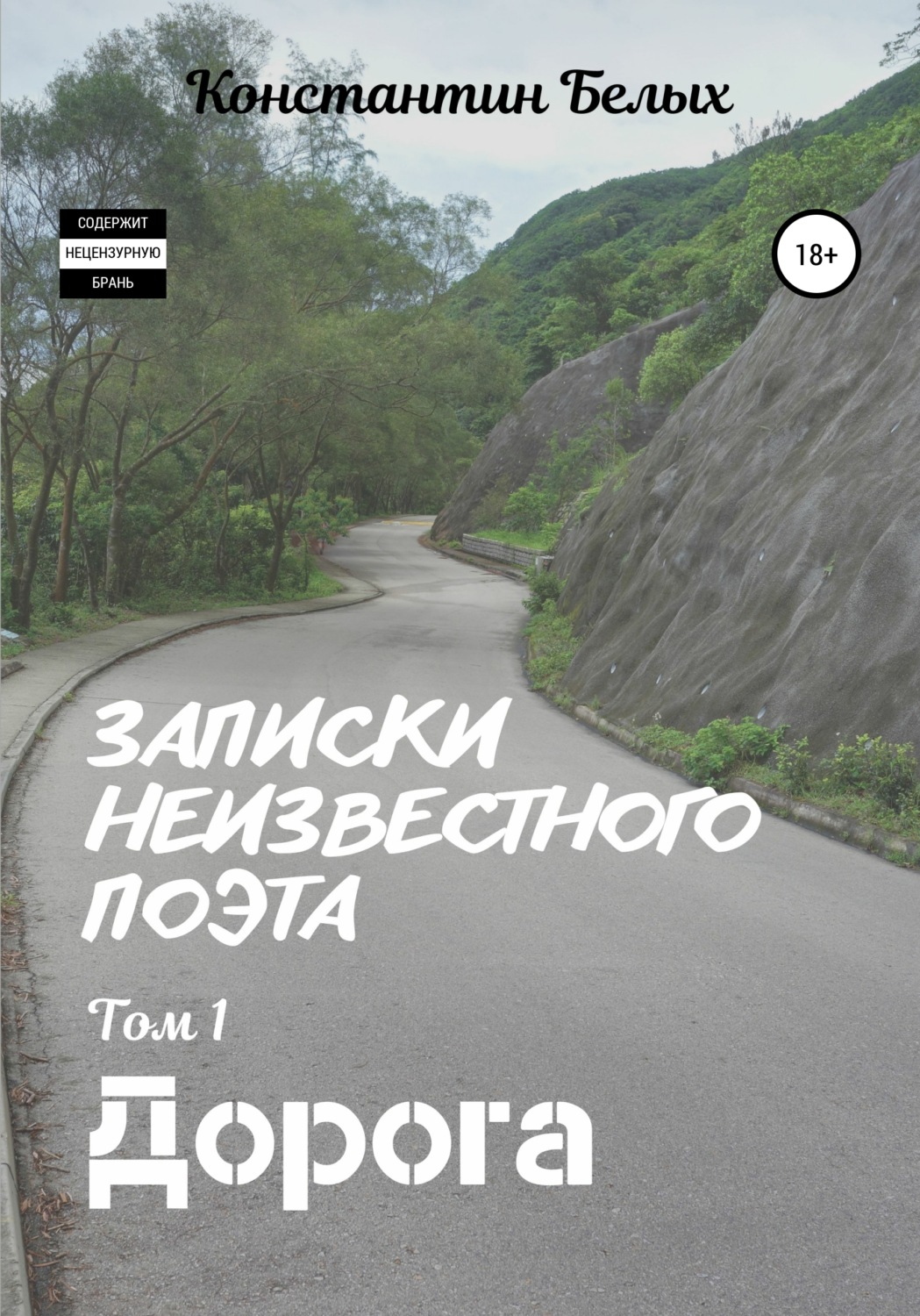 Обложка книги «Записки неизвестного поэта. Том 1. Дорога»