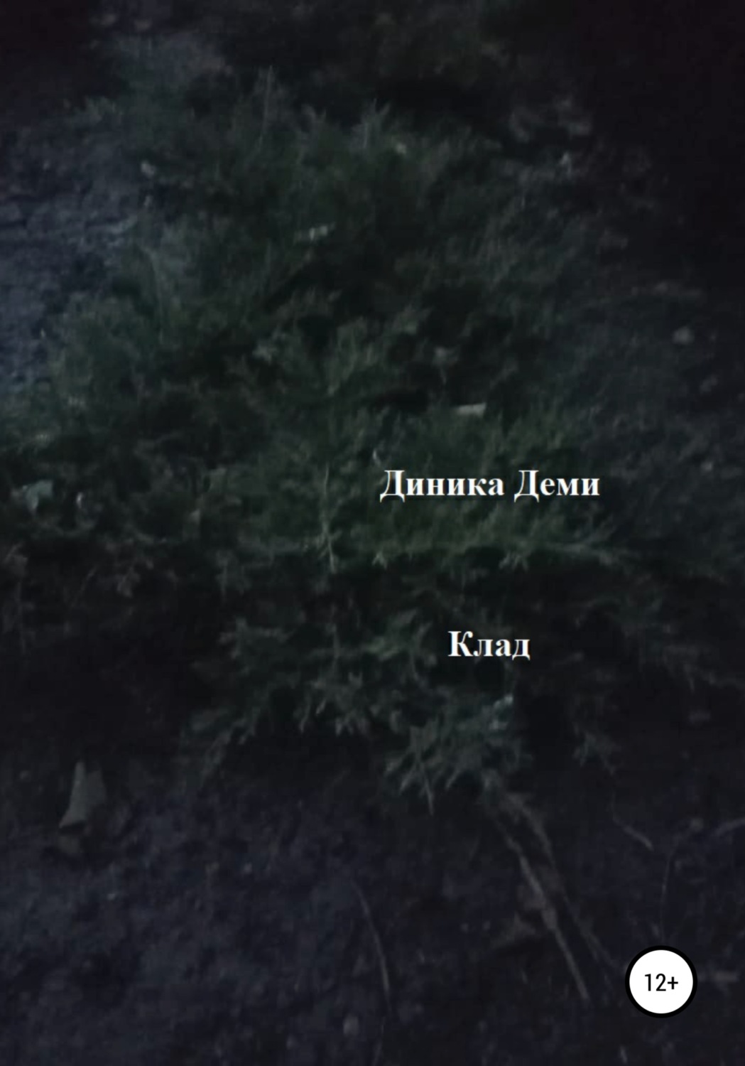 Обложка книги «Клад»