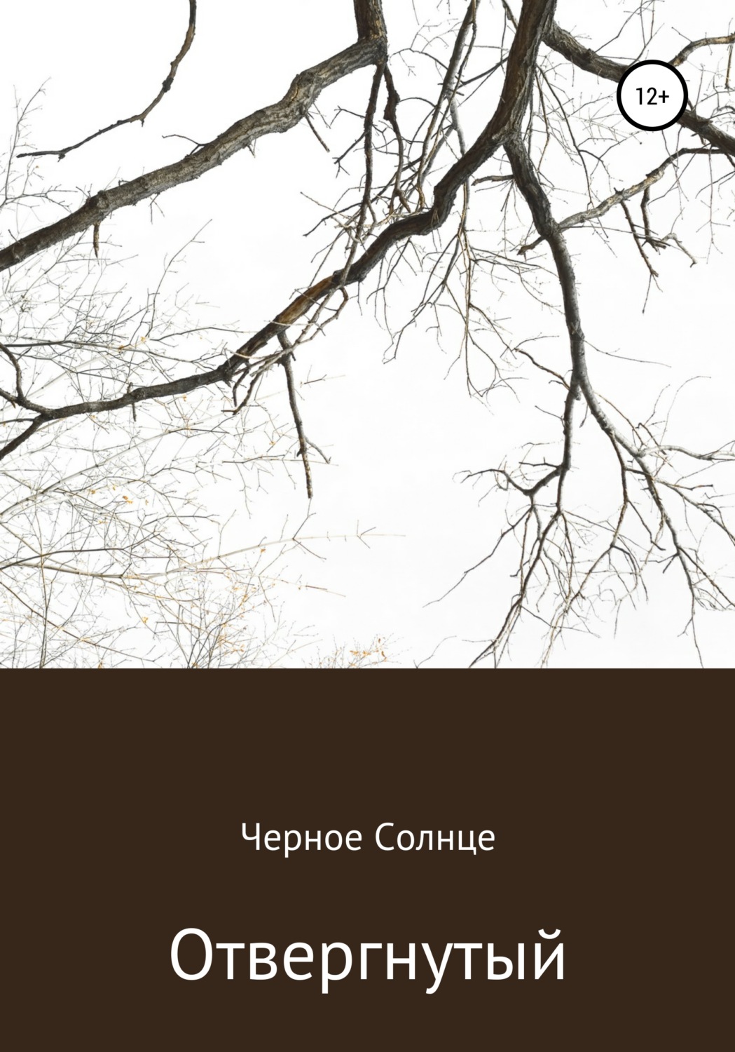 Обложка книги «Отвергнутый»