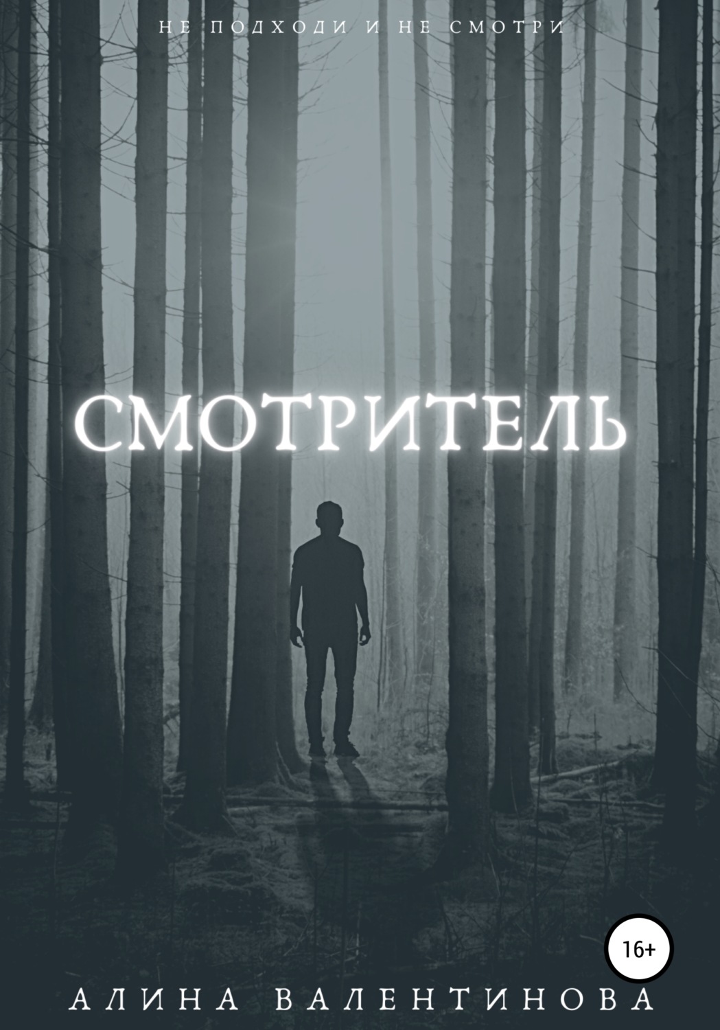 Обложка книги «Смотритель»
