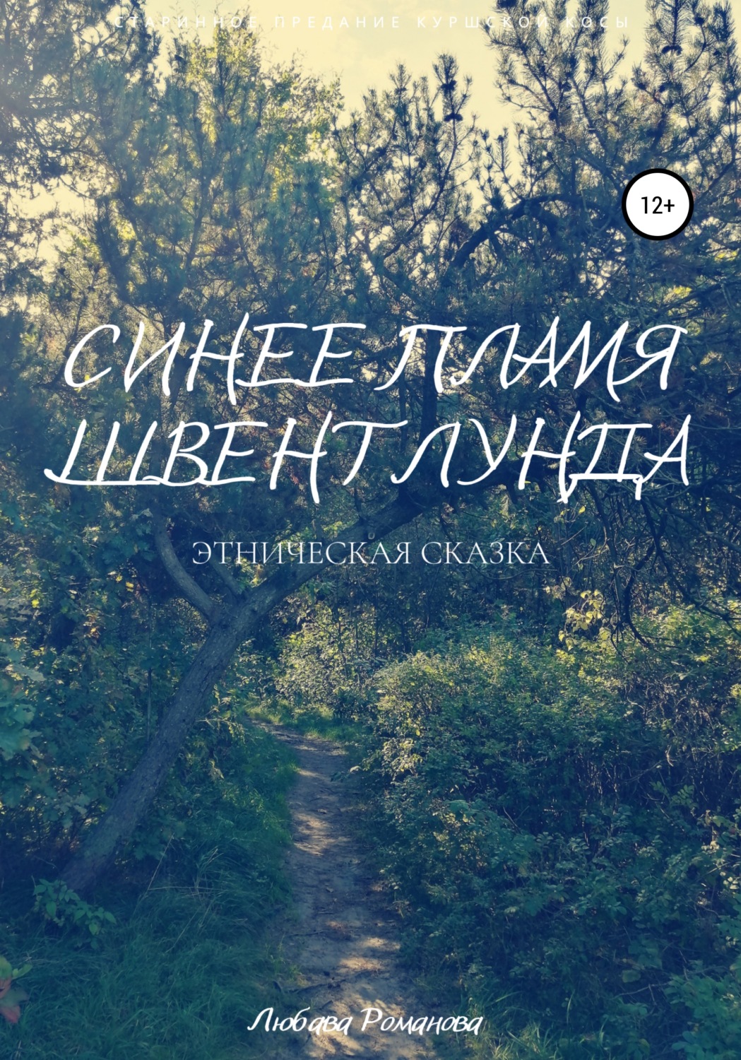 Обложка книги «Синее пламя Швентлунда»