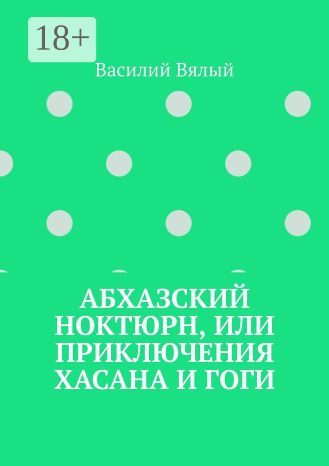Обложка книги «Абхазский ноктюрн, или Приключения Хасана и Гоги»