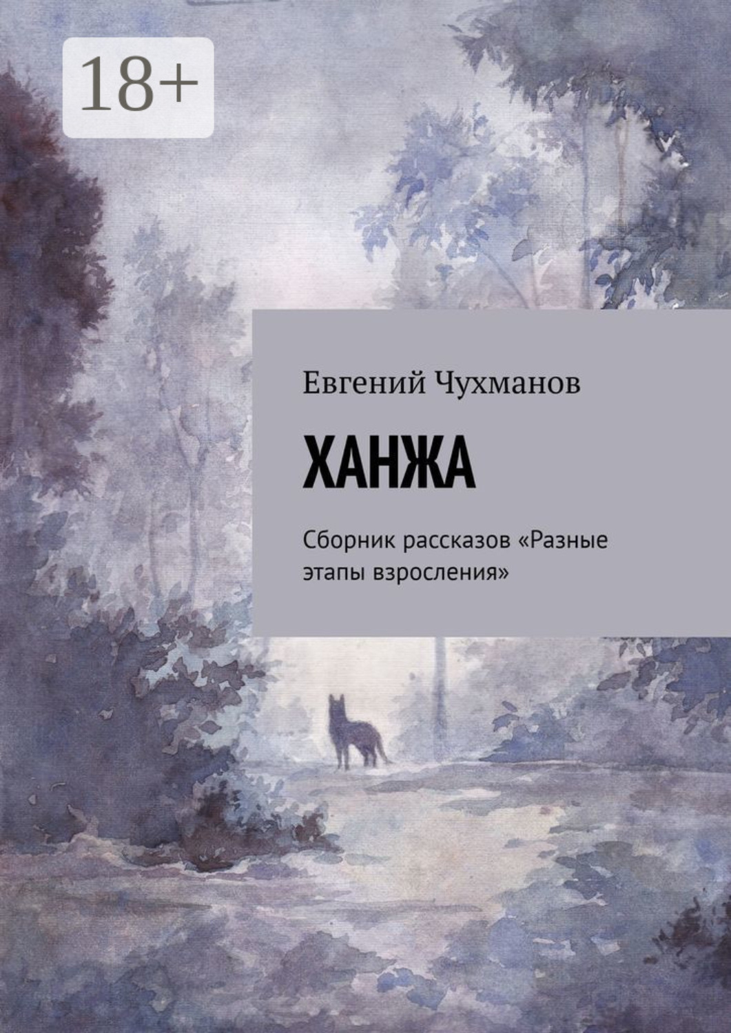 Обложка книги «Ханжа. Сборник рассказов «Разные этапы взросления»»