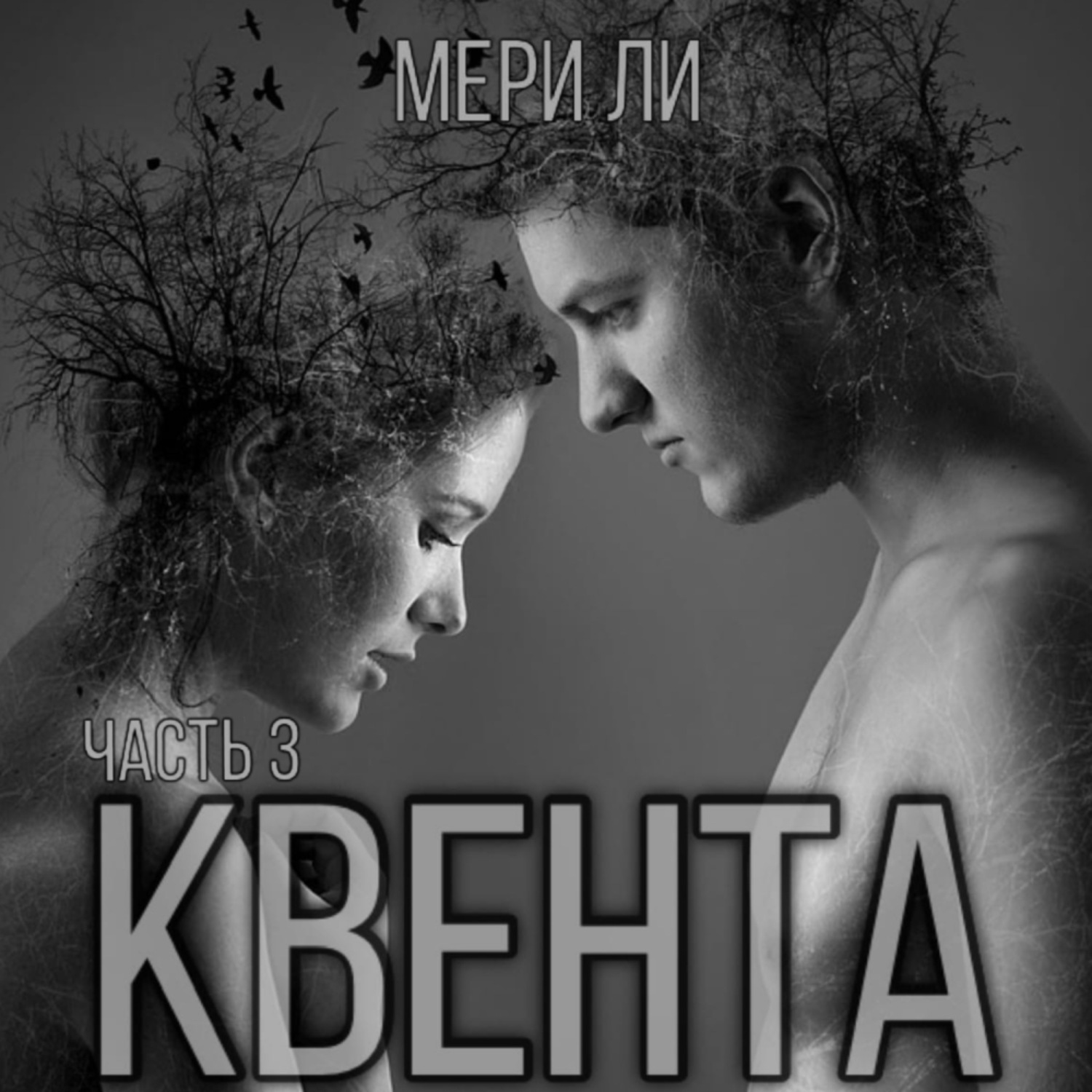 Обложка книги «Квента. Финал»