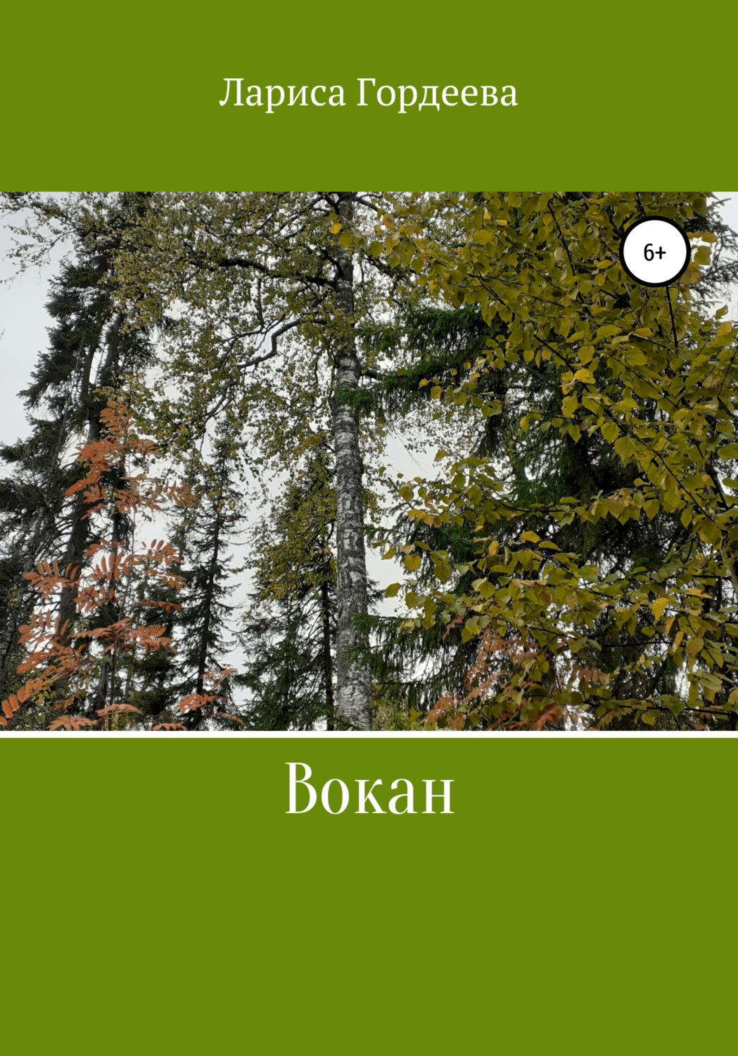 Обложка книги «Вокан»