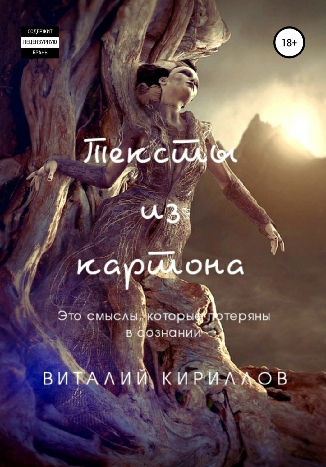 Обложка книги «Тексты из картона. Сборник»