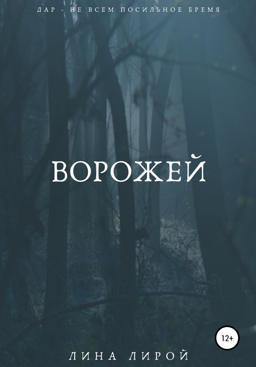 Обложка книги «Ворожей»