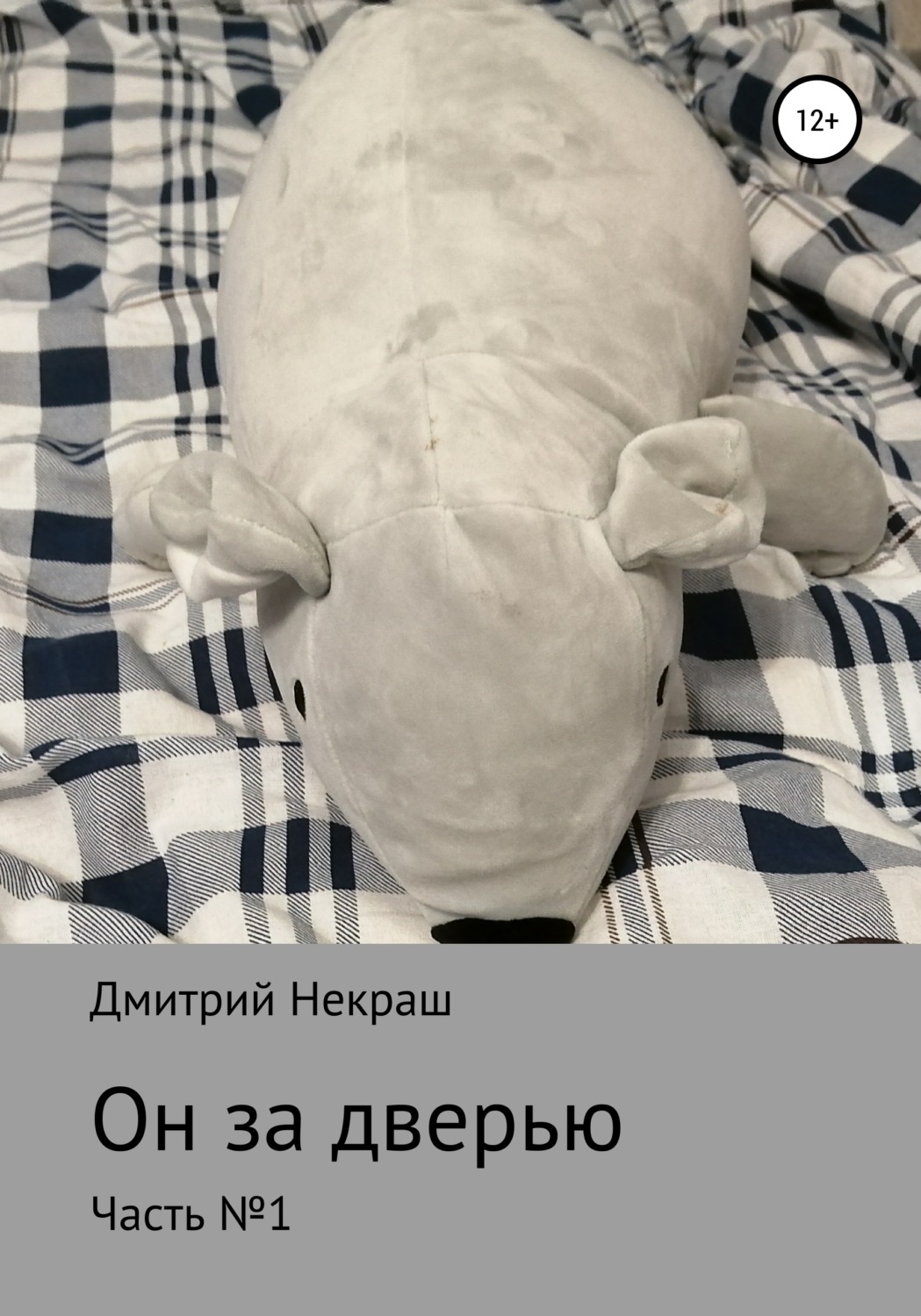 Обложка книги «Он за дверью»