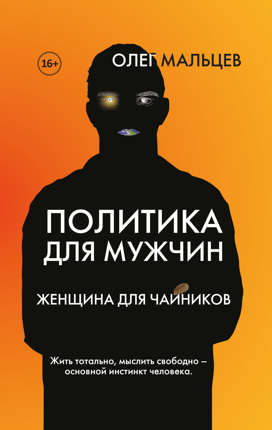 Обложка книги «Политика для мужчин. Женщина для чайников»