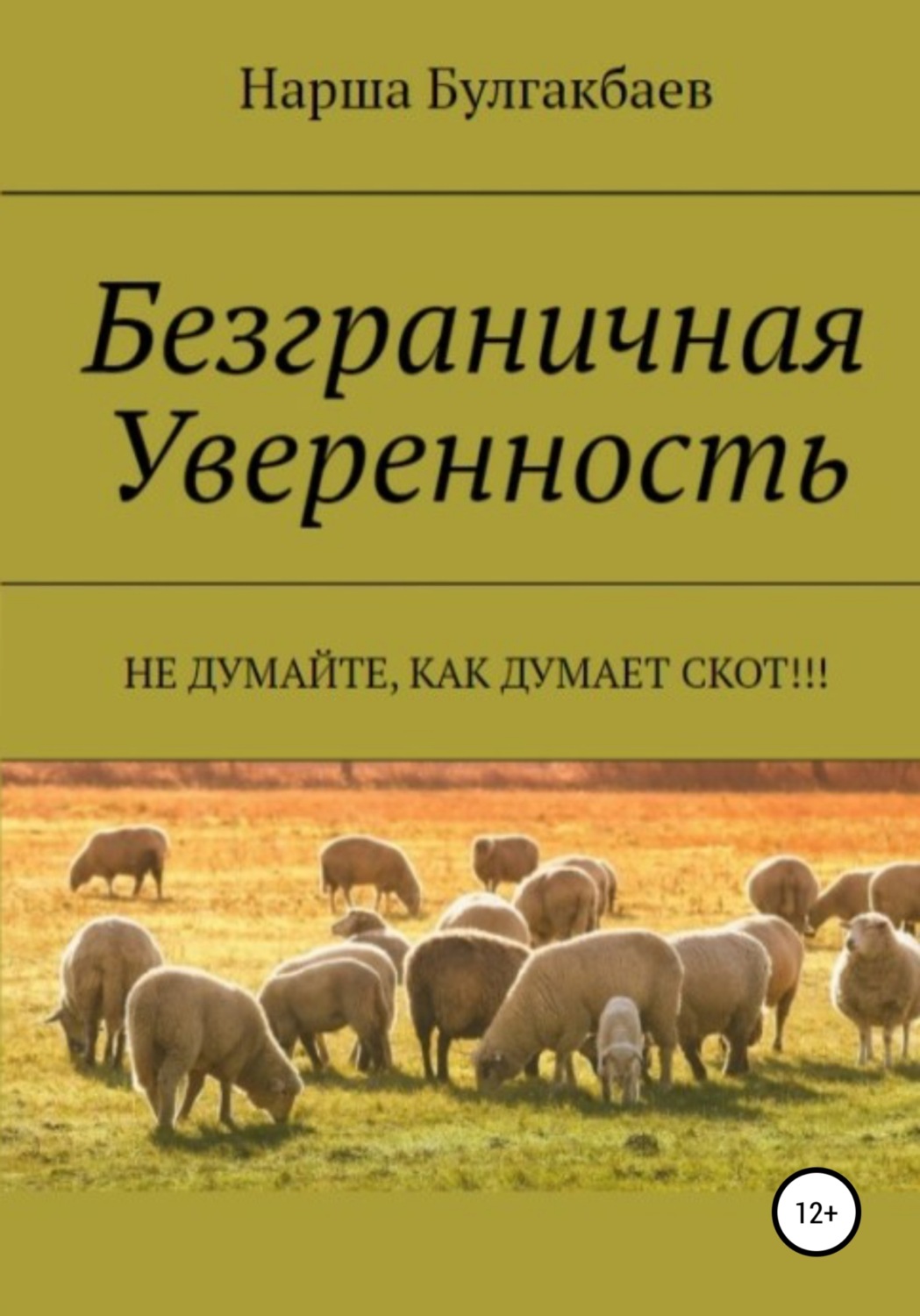 Обложка книги «Безграничная Уверенность»