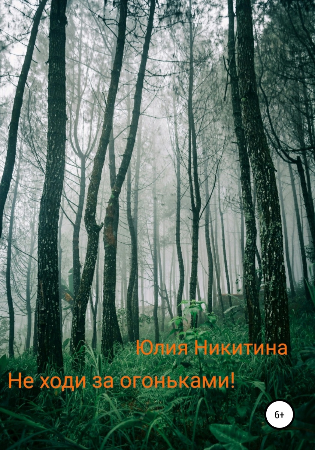 Обложка книги «Не ходи за огоньками!»