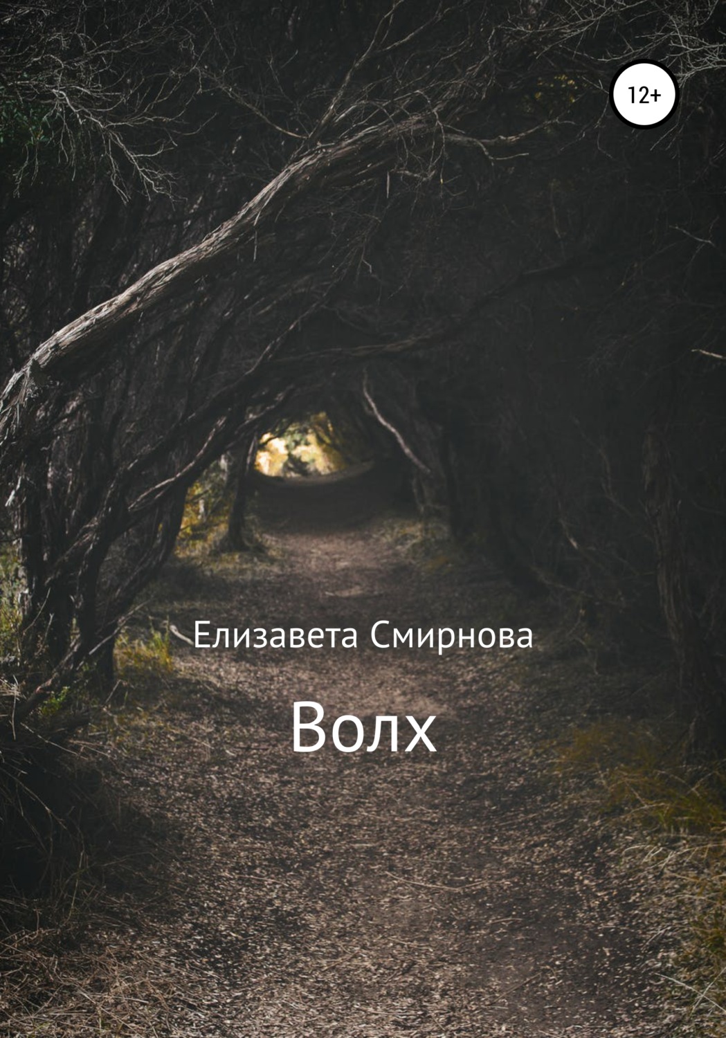 Обложка книги «Волх»