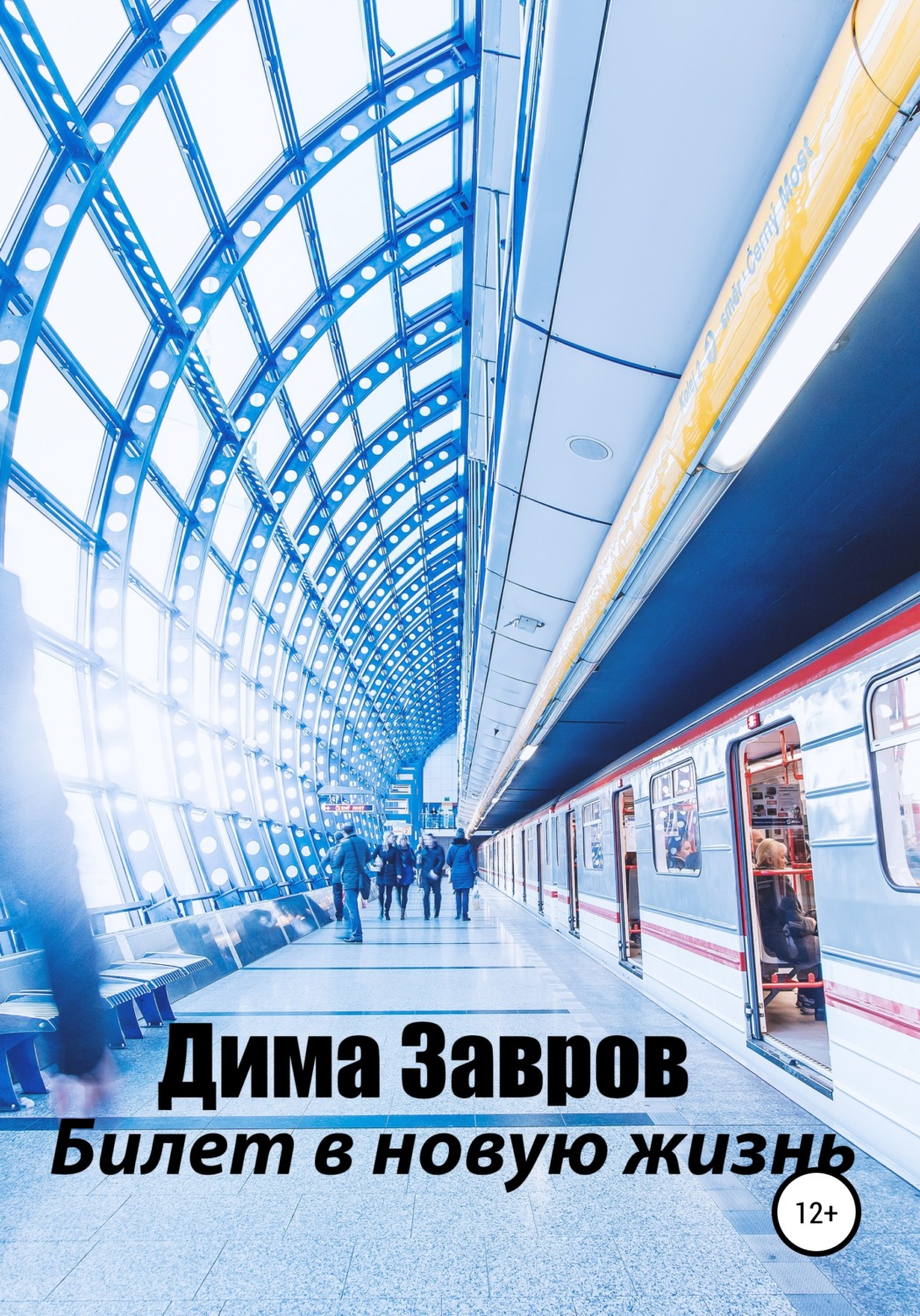 Обложка книги «Билет в новую жизнь»