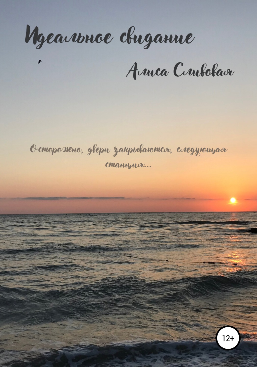 Обложка книги «Идеальное свидание»