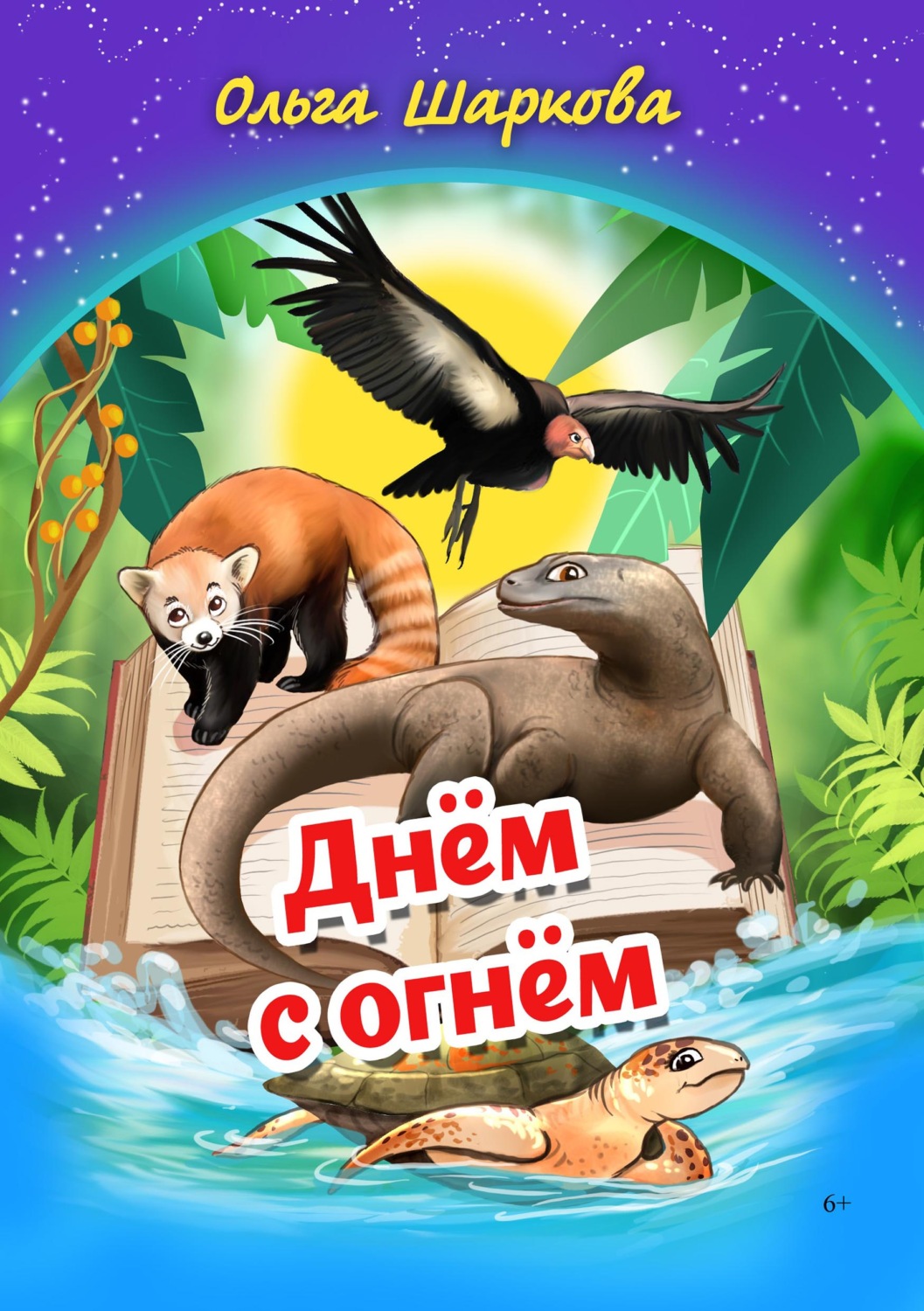 Обложка книги «Днём с огнём»