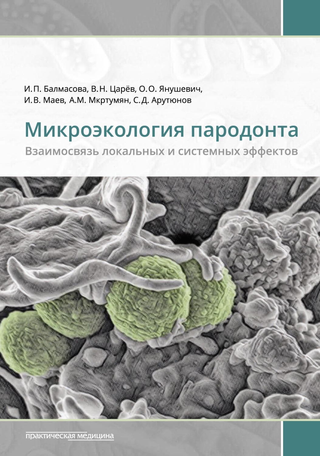 Обложка книги «Микроэкология пародонта. Взаимосвязь локальных и системных эффектов»