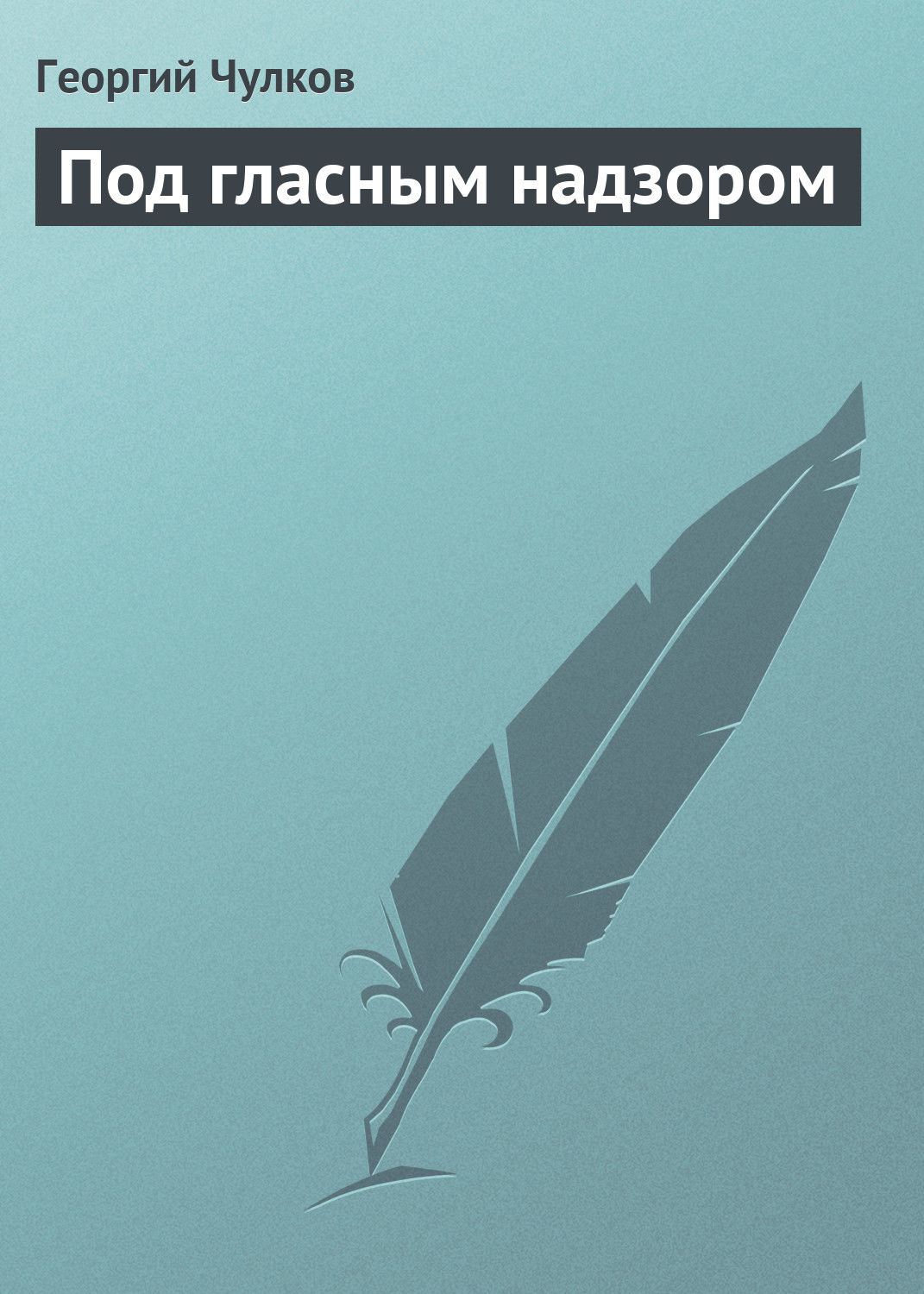 Обложка книги «Под гласным надзором»