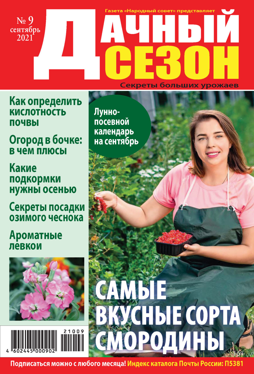 Обложка книги «Дачный сезон №09/2021»