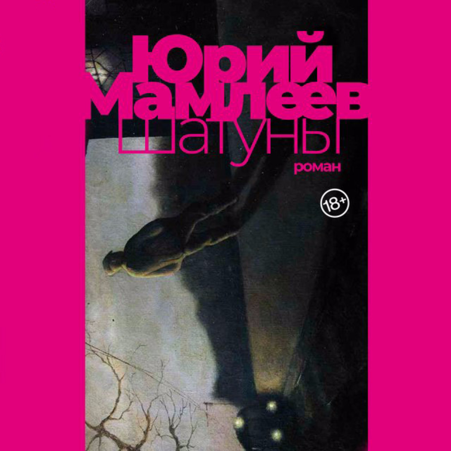 Обложка книги «Шатуны»
