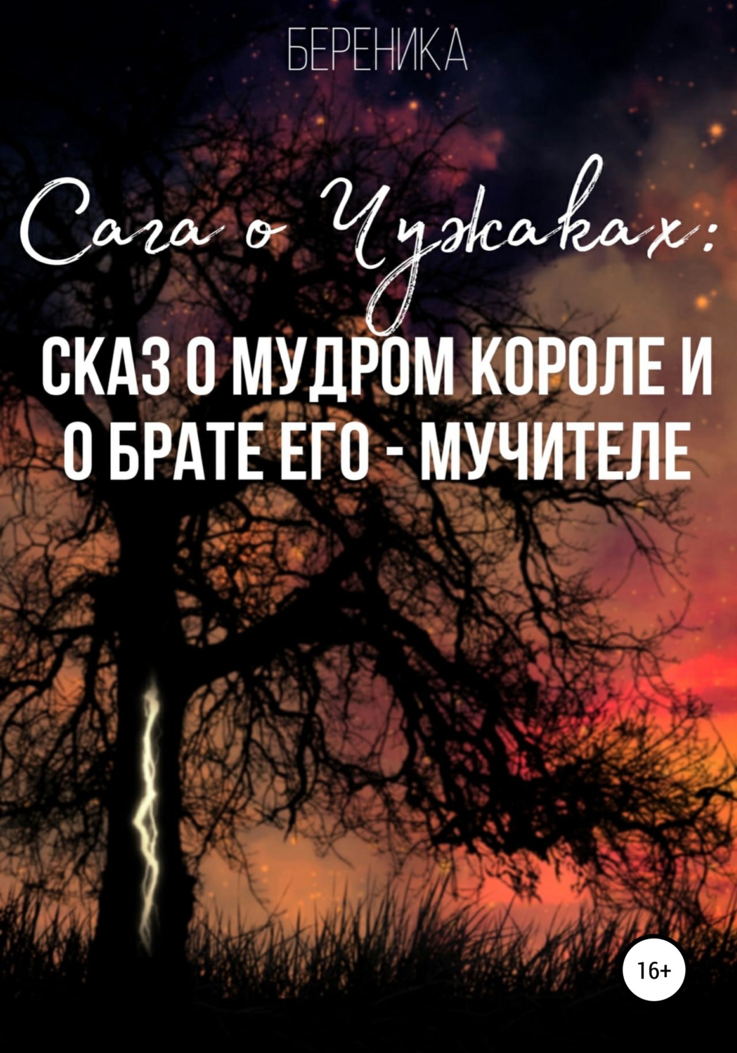 Обложка книги «Сага о чужаках: сказ о мудром короле и о брате его – Мучителе»