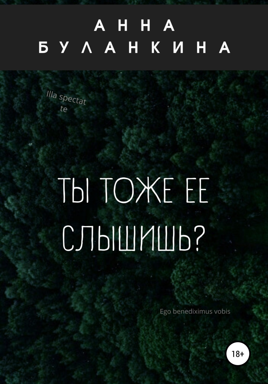 Обложка книги «Ты тоже ее слышишь?»