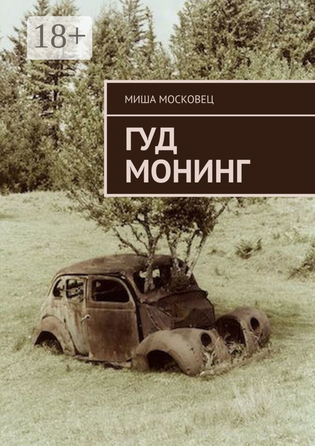 Обложка книги «Гуд монинг»