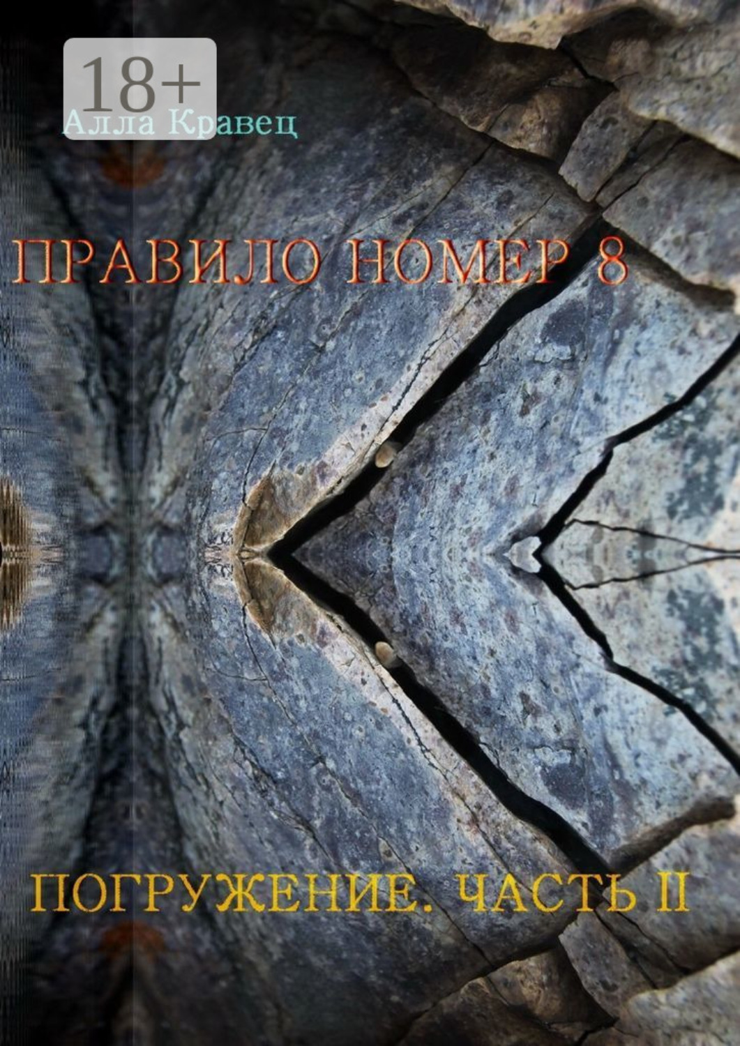 Обложка книги «Правило номер 8. Погружение. Часть 2»