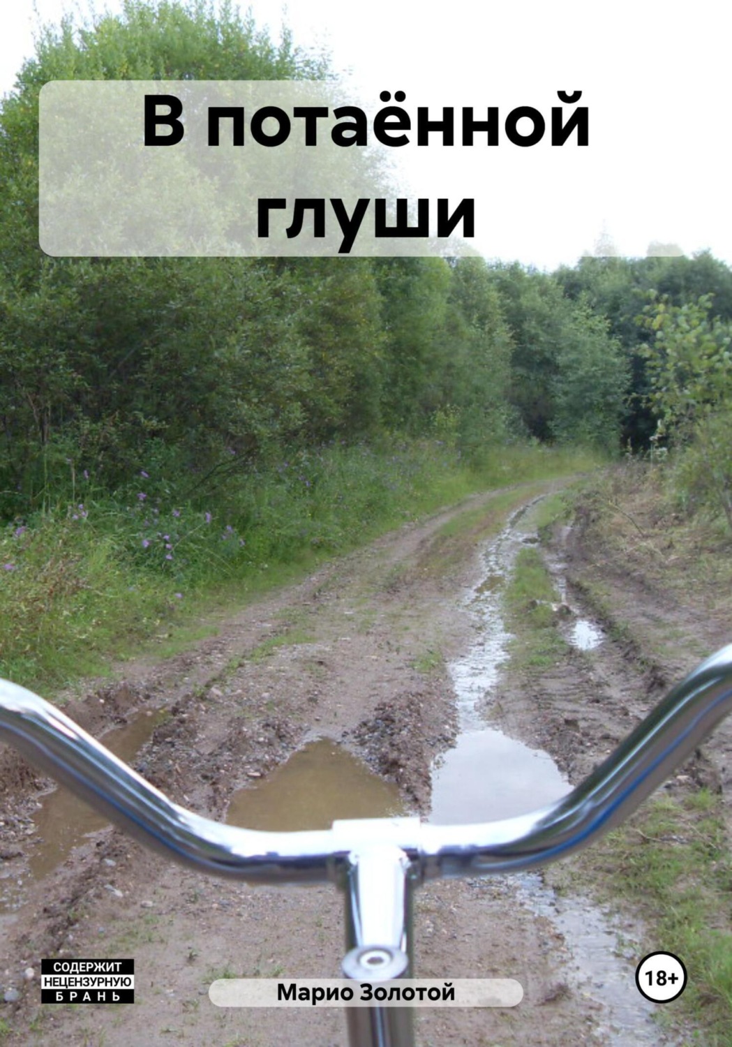 Обложка книги «В потаённой глуши»
